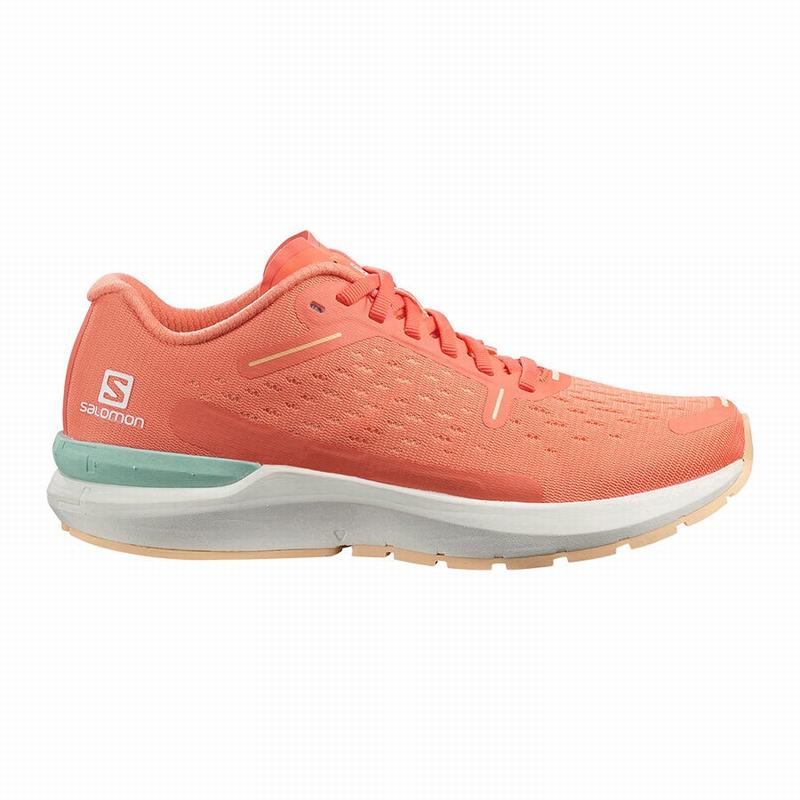 Salomon SONIC 4 BALANCE Zapatillas Running Asfalto Mujer - Blancas / Creme - Colombia (24537-YMBK)